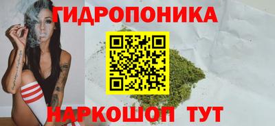 Альфа ПВП Партизанск