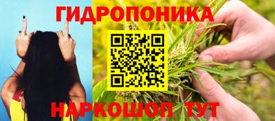 Альфа ПВП Партизанск