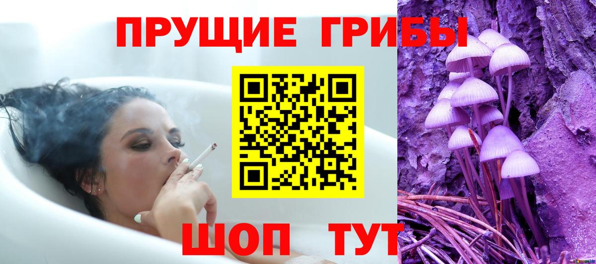 Псилоцибиновые грибы Psilocybe  Вход с VPN  Севастополь 